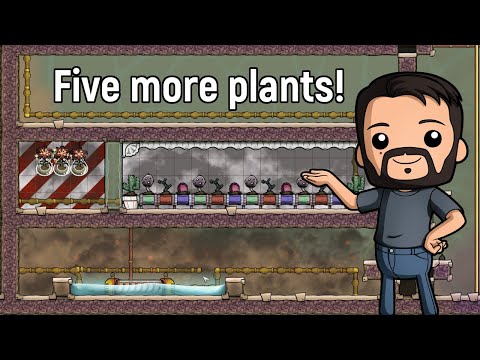 How not to plant Sporchids | Ep 16 | ONI - Farm - Verdante
