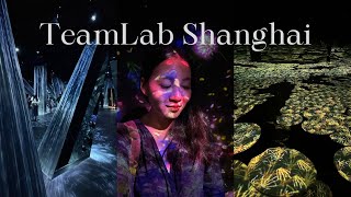 TeamLab, ShangHai - an awesome immersive audio-visual art experience