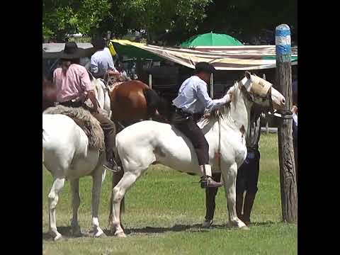 Monta en clina Salio el TOTO en Monte de Los Indios Tabossi Entre Rios