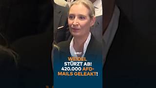 Rückschlag für AfD-Chefin Alice Weidel: Im neuen INSA-Politikerranking im Auftra