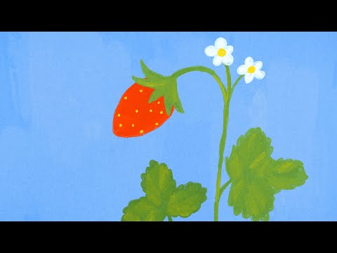 Video thumbnail for Strawberry