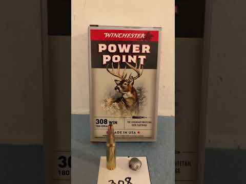 Affordable Hunting Ammo: Is it good enough?