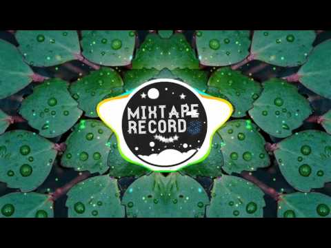 ETHAN MORRIS - WENKI