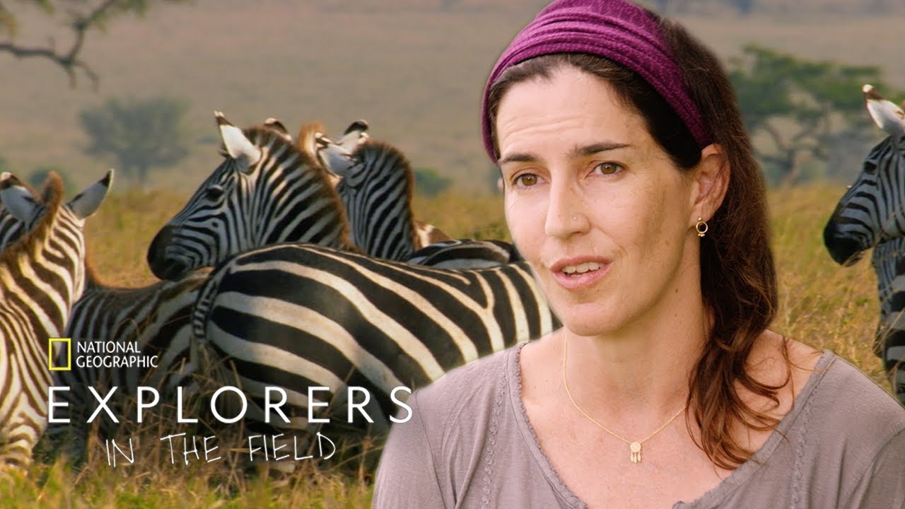 The Story of Gorongosa | Explorers in the Field
