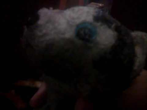 Sel perrito cara de tonta