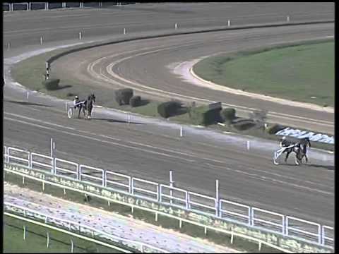 Trotto 02/11/2014 - 2° prova di qualifica