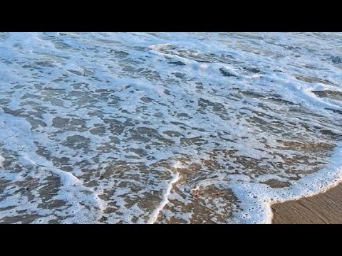 one day trip/vembar beach |afzal lifestyle