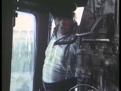 Меняю собаку на паровоз