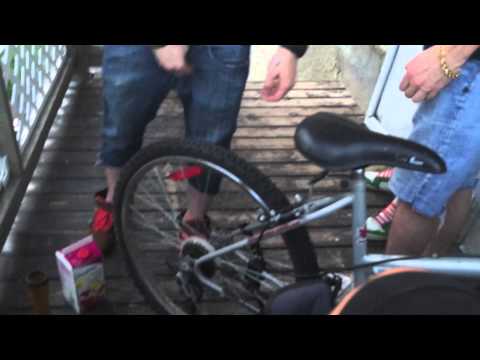 PATELIN-LIFE! (LÉON X O'NEEZY X FYSH&CHYP)