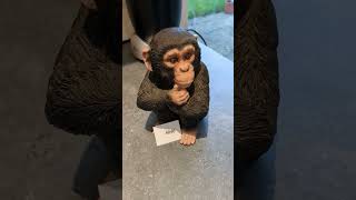 Jim the Monkey 12 January 2023 - SPX500