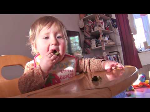 Maya's Nom Nom Nom Nom Nom