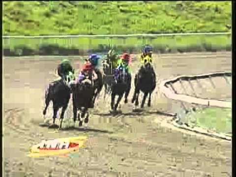 4ta Carrera Domingo 13 de Julio La Rinconada