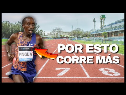 Why are KENYA brokers the BEST?