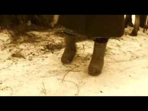 Billy'S Band - Зимний Сон (Winter Dream)