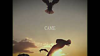 Cover art for We All Birds (Showtime)