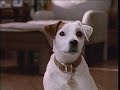 Wishbone Vhs Promo 1997