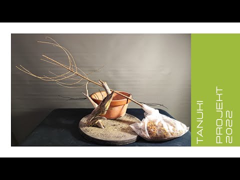 Tanuki Projekt 2022 [4k]