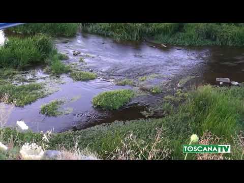 2018-07-21 PRATO - TROVATO UOMO MORTO IN OMBRONE, FORSE CADUTO