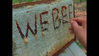 WEBEE is here. Watch Me Write on My Bee Hive.
