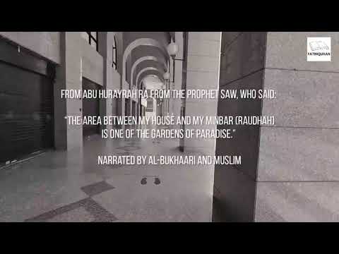 How to Pray in Raudhah | Ramadan 1442H/ 2021