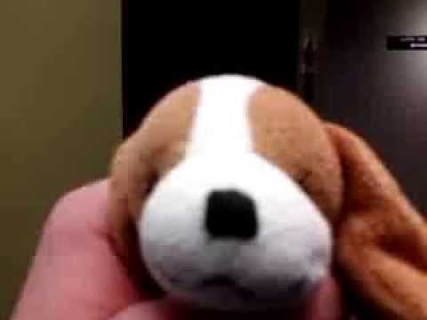 ANOTHER VINTAGE Montgomery Hydraulic Elevator @ North Arlington Pediatrics, Arlington Heights, IL