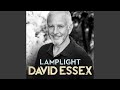 Lamplight