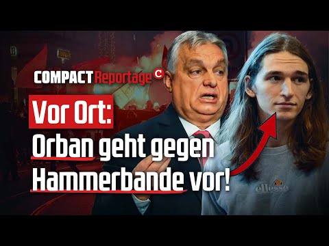 On the ground: Orban takes action against the gang of thugs!