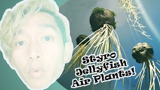 DIY | Styrofoam Jellyfish Air Plant