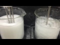 HOMO MIXER Vs DISPERSER