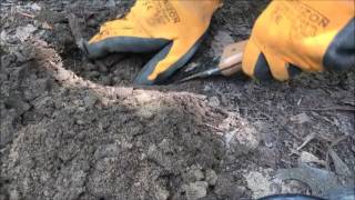 Sortie de détection du 29 07 2016