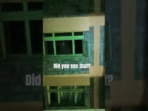 Did you see that?