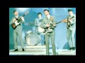 The Searchers - Needles And Pins 