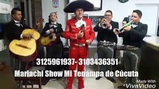 Video de Mariachi show Mi Tenampa