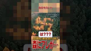 Download lagu The Forbidden Symbol That Hid in a German Forest for Decades #Trivia #Explanation mp3