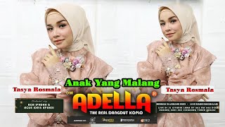 Download lagu ANAK YANG MALANG | TASYA ROSMALA - OM ADELLA ( Live Cikarang ) mp3