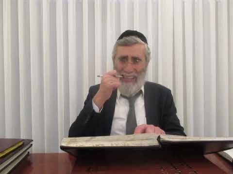 הרב יהושע ביבי - תשפ"ו - שער המצוות - שיעור מס' 005 - לבושי הנר''ן בע''ח ח''ב דף קיב' ע''ג ע''ד