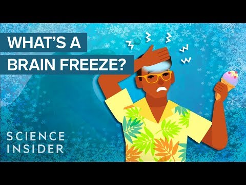 What Really Happens During A Brain Freeze