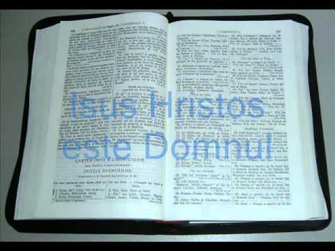 13 - 1 CRONICI - Vechiul Testament - Biblia Audio Romana
