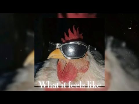 What it feels like - Toby Romeo, YouNotUs (sped up) #spedup #music