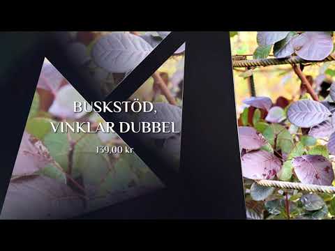 Vallentuna Växtstöd & Dekor - BUSKSTÖD, VINKLAR DUBBEL