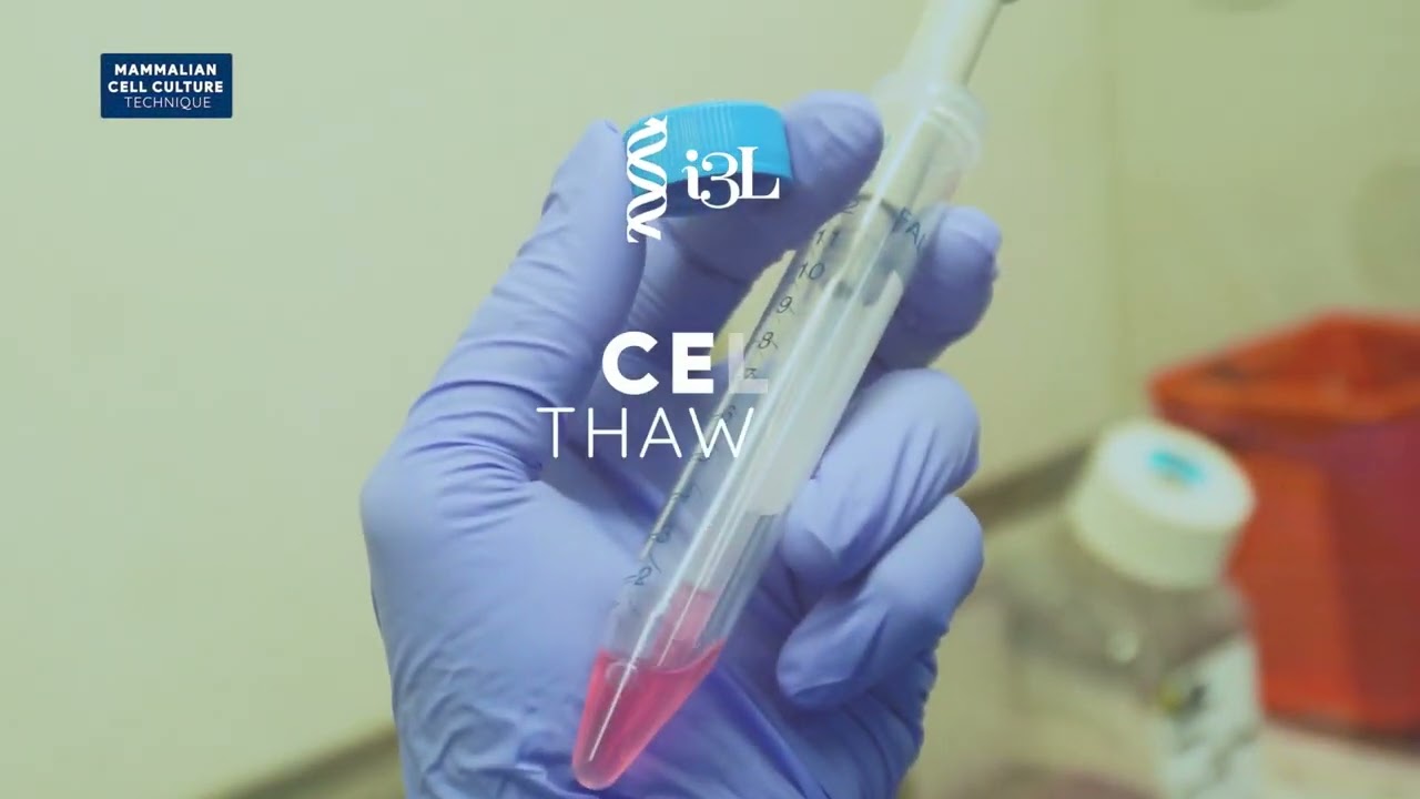 Video Mammalian Cell Culture Technique