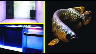 🔶My All Fish Tank update ||Fish & aquarium hobby|fish tank✅