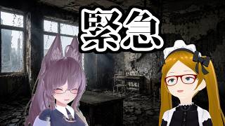 緊急で動画を回しています。【ツインテール大好き】