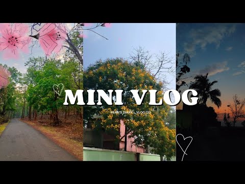 Mini vlog 🦋🔆#subscribe #minivlog #livingalone #nature #explore #keonjharvlog #deardiary