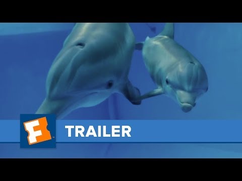 Dolphin Tale 2 Official Trailer HD | Trailers | FandangoMovies