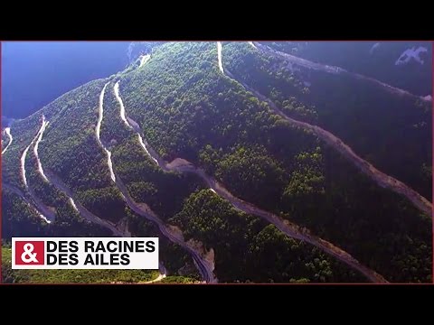 Le col de Rousset, un coup de foudre permanent dans le Vercors