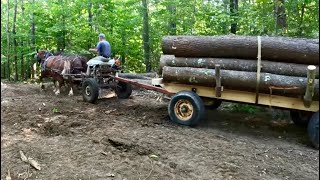A Big Load of Logs on my Newly Rebuilt Wagon!! // Draft Horse Logging #846