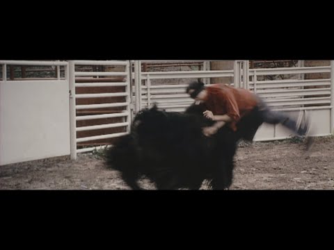 Jackass Number Two (2006) - 35mm Scope Trailer (4K)