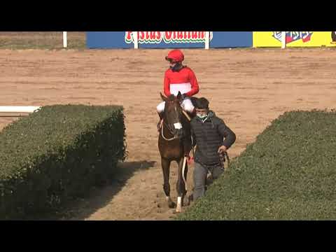 CARRERAS SINT PAYSANDÚ - 210812 c04 1° HISPANIA