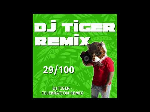 DJ TIGER - Maffio, Farruko, Akon ft. Ky-Mani Marley - CELEBRATION REMIX